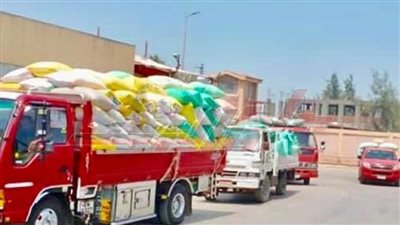 توريد أكثر من 262 ألفا و782 طن قمح للشون والصوامع بكفر الشيخ