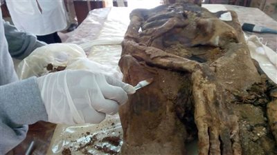 لأول مرة..ورشة عمل عن استخدام الذكاء الاصطناعي في ترميم المومياوات بالتعاون مع 
