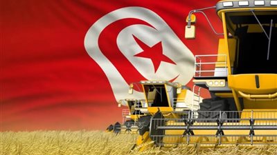 محصول تونس من القمح يتراجع 60% 
