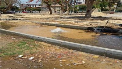 رفع ٩٤ طنًا من القمامة وتركيب كشافات وإصلاح كسر ماسورة مياه بالإسماعيلية