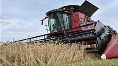 عاجل.. 7 شروط  روسية لاستئناف تصدير الحبوب الأوكرانية عبر البحر الأسود