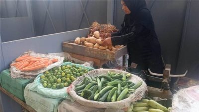 رئيس مركز السنبلاوين يتابع نقل الباعة الجائلين للسوق الجديدة