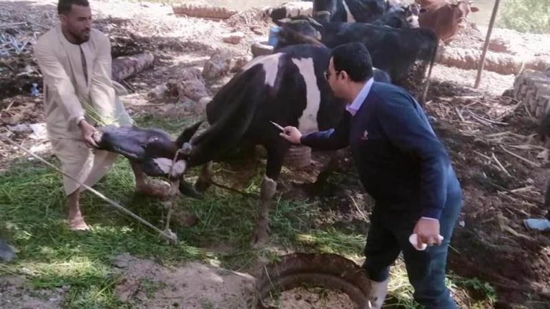 تحصين 23 ألف رأس