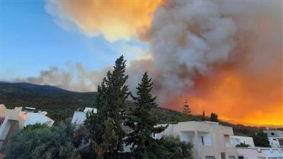 تونس تفتح تحقيقات بشأن حرائق في عدة مناطق.. ومهرجان طبرقة يعلن تعليق سهراته