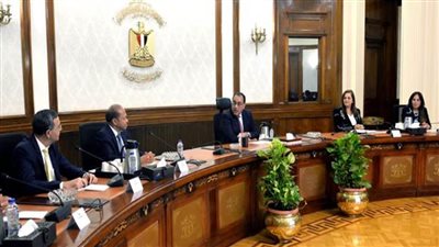 رئيس الوزراء يناقش مع رئيس شركة 