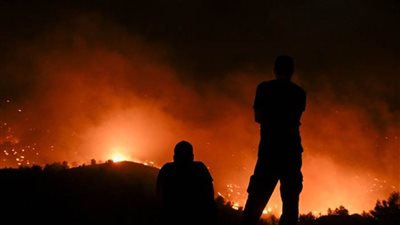 المملكة تُعرب عن بالغ حزنها لما نتج عن اندلاع حرائق الغابات بالجزائر من وفيات ومصابين