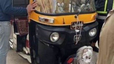 جريمة قتل بشعة بأسيوط.. ألقوا بالسائق في النيل لسرقة التوك توك 