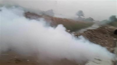 صحة المنيا تكثف حملاتها لمكافحة القوارض وناقلات ومسببات الأمراض المتوطنة خلال فصل الصيف