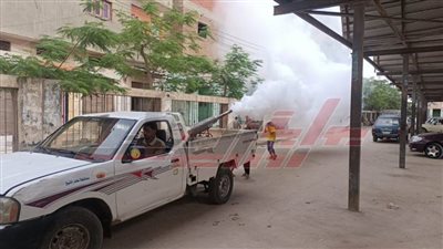 حملات نظافة ومكافحة الحشرات الطائرة الدورية بكفر الشيخ