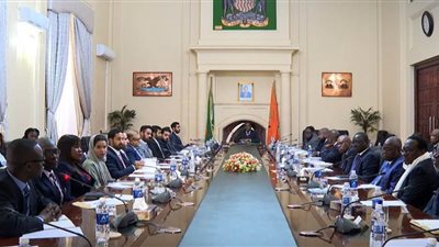 الإمارات تبحث مع زامبيا وتشاد سبل تعزيز العلاقات