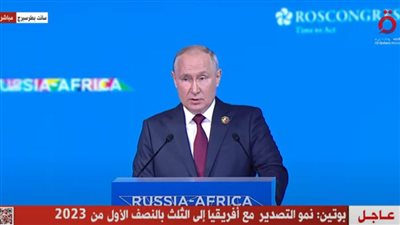 بوتين: التبادل التجاري مع إفريقيا بلغ 18 مليار دولار في 2022