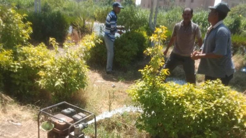 زراعة الأشجار المثمرة