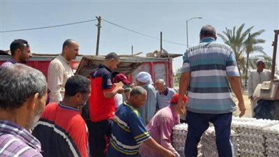 سكرتير بني سويف يتفقد منافذ البيع لمشروع الدواجن بشرق النيل