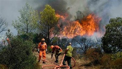 صحيفة يونانية: حرائق الغابات تلتهم مزارع ومصانع في جميع أنحاء البلاد
