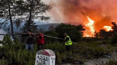 الزراعة التونسية: تسجيل 20 حريقا في 7 ولايات