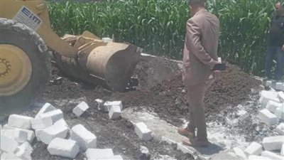 إزالة 41 حالة تعد على أراضٍ زراعية في 5 مراكز بالمنيا