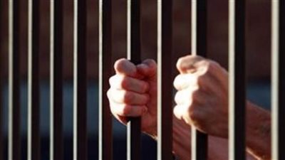 الحبس عامين للمتهم بدهس حفيد شريفة فاضل بالعجوزة