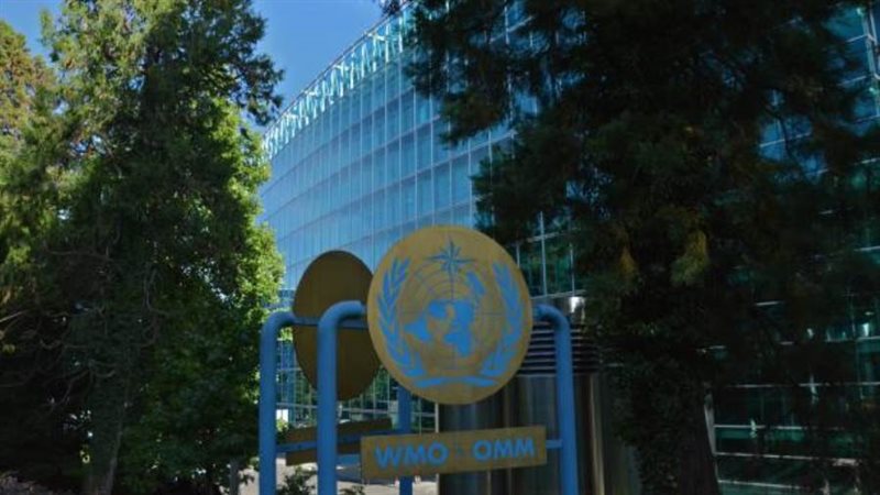 المنظمة العالمية