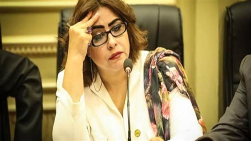 النائبة غادة عجمي