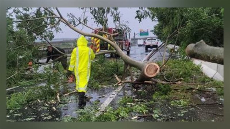 إعصار دوكسوري