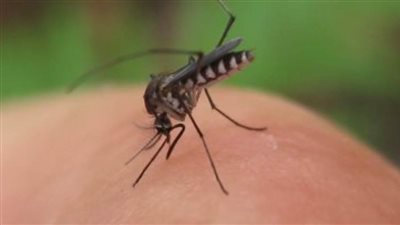 ارتفاع درجات الحرارة في شمال رواندا ينذر بمخاطر الإصابة بالملاريا