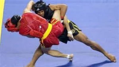 فوز نادي كهرباء غرب القاهرة بكأس بطولة الجمهورية للكونغ فو