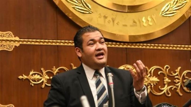 النائب الدكتور محمد