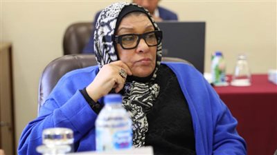 د. فاطمة سيد أحمد: نحن فى حاجة إلى أفكار ورؤى نقدمها من خلال الحوار