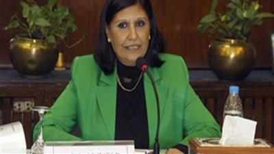 مقرر لجنة الأسرة بالحوار الوطني: نسعى لإعلاء المصلحة العليا للأسرة والطفل