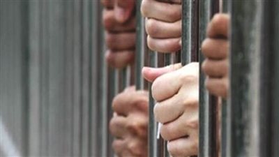 غدًا.. استكمال إعادة محاكمة متهمين في قضيتي اللجان النوعية وكتائب حلوان