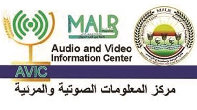 بالإنفوجراف.. 