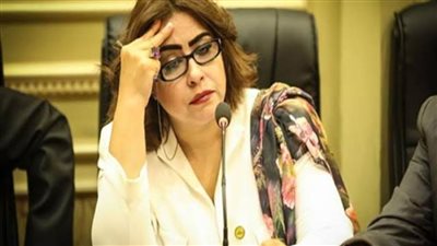 برلمانية: الاجتماع الأول للجنة المنبثقة عن دول جوار السودان تأكيد للوصول لحل الأزمة