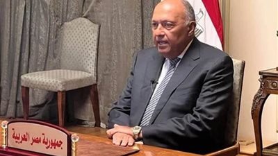 وزير خارجية تشاد يستقبل شكري لدى وصوله إلى ندجامينا