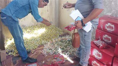 تموين برج العرب بالإسكندرية تضبط مصنع حلويات دون ترخيص 