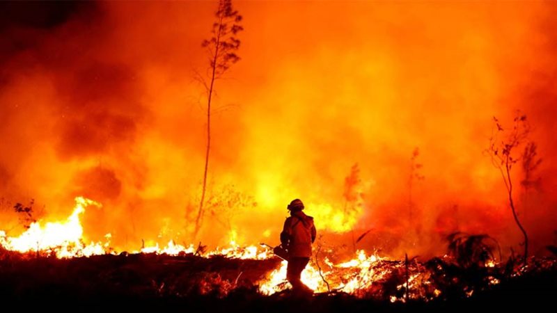 حرائق الغابات