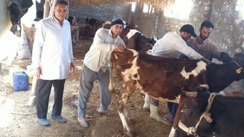 الطب البيطري.. تحصين