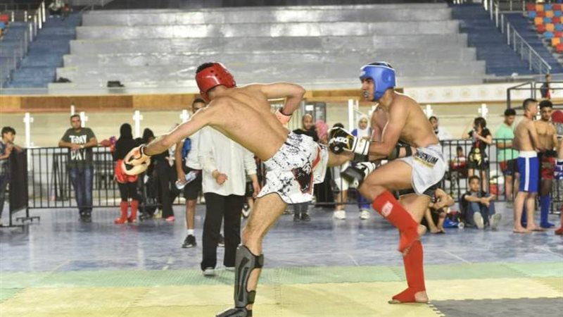 بوابة روز اليوسف