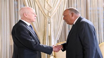 رسالة من الرئيس السيسي إلى نظيره التونسى ينقلها وزير الخارجية