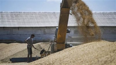كييف: صادرات أوكرانيا من الحبوب تراجعت