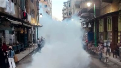 حملات مكثفة للرش والتطهير من الحشرات والبعوض بأحياء الإسكندرية