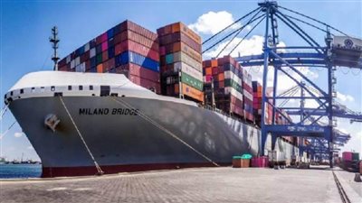 تداول 43 سفينة للحاويات والبضائع بميناء دمياط