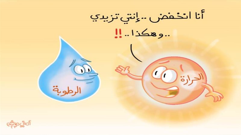 ريشة - أماني هاشم