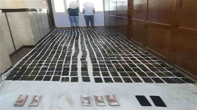 ضبط عنصرين إجراميين بحوزتهما 700 طربة حشيش بالإسكندرية