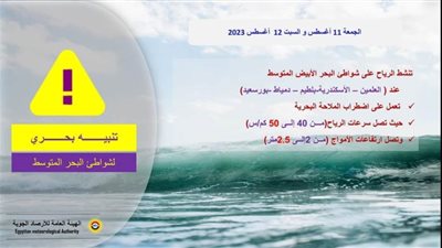 عاجل|  الأرصاد الجوية تصدر تحذيرًا بحريًا.. تعرف على تفاصيله