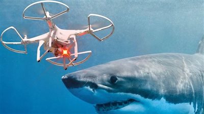 طائرات مسيرة تراقب شواطئ نيويورك بحثا عن أسماك القرش بعد هجوم مروع