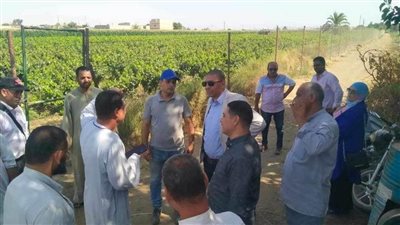 توفير أراضٍ لإنشاء محطات رفع ومعالجة لمياه الشرب والصرف الصحي بقرى حياة كريمة بالمنيا