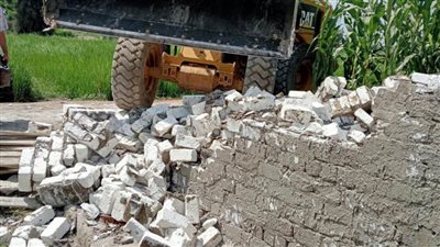 إزالة 12 حالة تعدٍ على الأراضي الزراعية وأملاك الدولة بالبحيرة