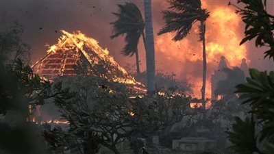 ارتفاع حصيلة ضحايا حرائق الغابات في هاواي الأمريكية إلى 80 شخصا