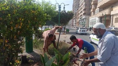 المنيا.. حملات مكثفة للنظافة ورفع المخلفات ودعم الانارة العامة
