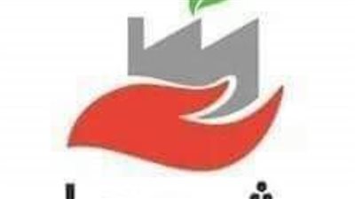 تمويل21 مشروعًا بـ245 ألف جنيه وفرت فرص عمل لشباب الخريجين بالوادي الجديد